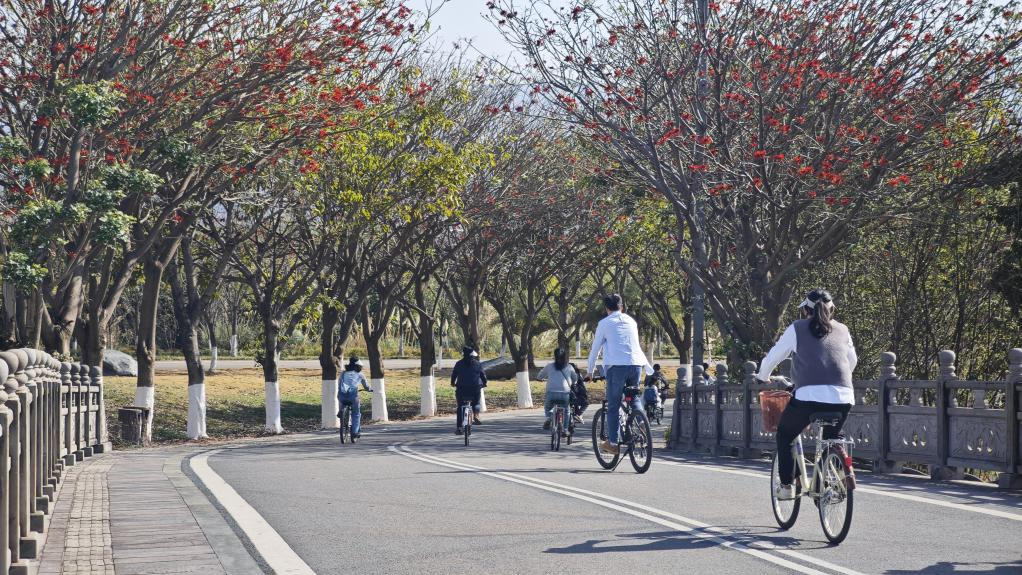 voyage de team building